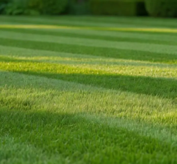 Letnia pielęgnacja ogrodu